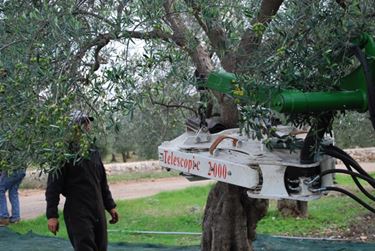 scuotitori per olive-3