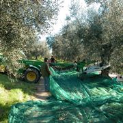 scuotitori per olive-5