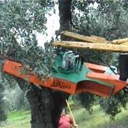 scuotitori per olive-6