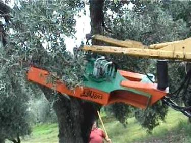 scuotitori per olive-6