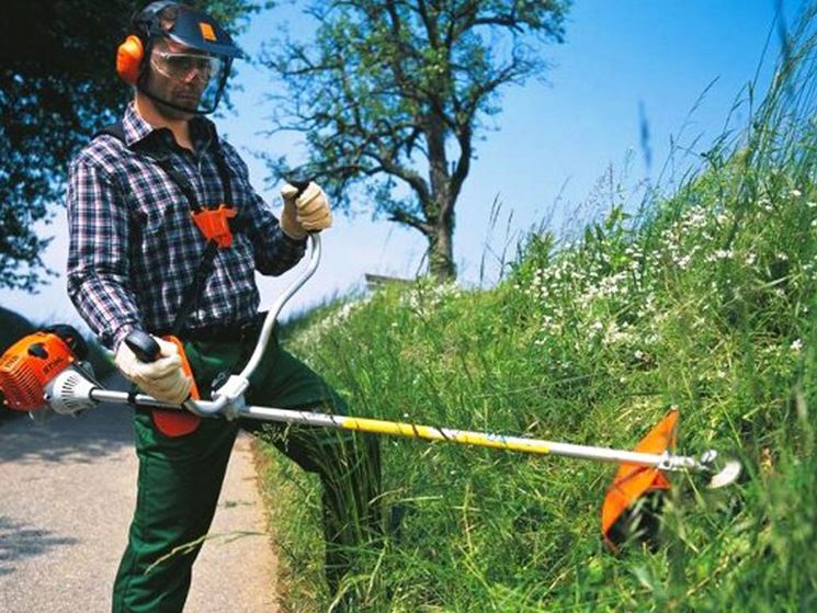 Decespugliatore a motore