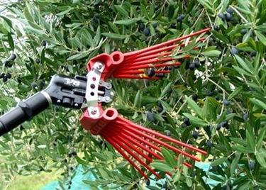 scuotitori per olive-9