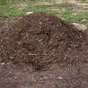 Come si effettua il compostaggio?