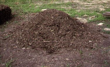 Come si effettua il compostaggio?