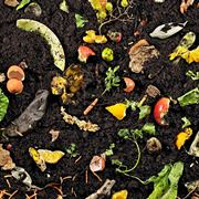 Compostaggio
