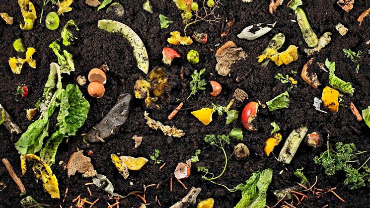 Compostaggio