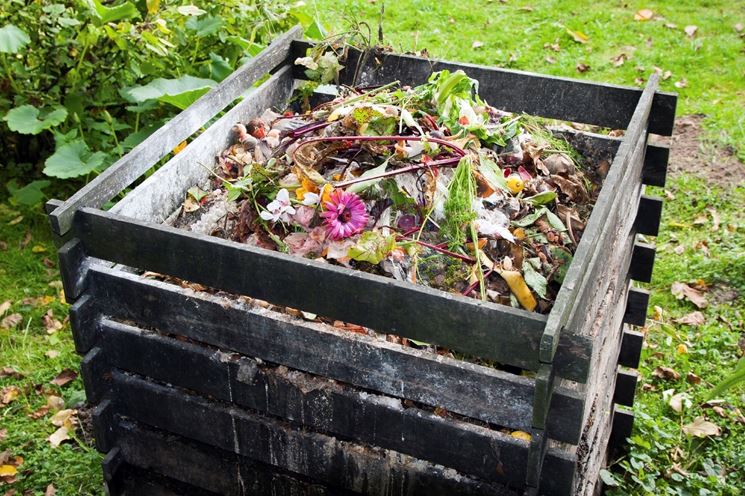 Compostaggio