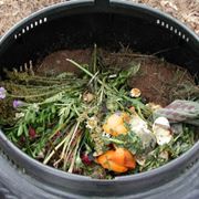 Compostaggio-6