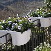 fioriere da balcone-6