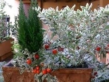 fioriere da balcone-7
