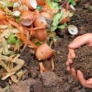 Compostaggio