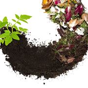 Compostaggio