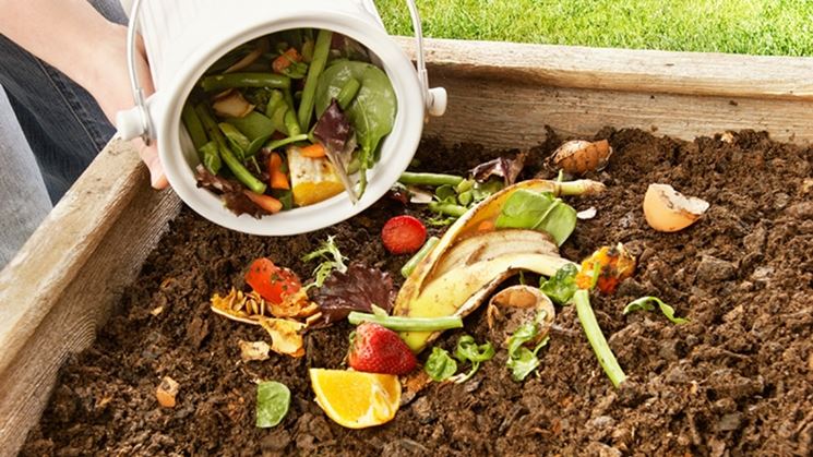 Compostaggio