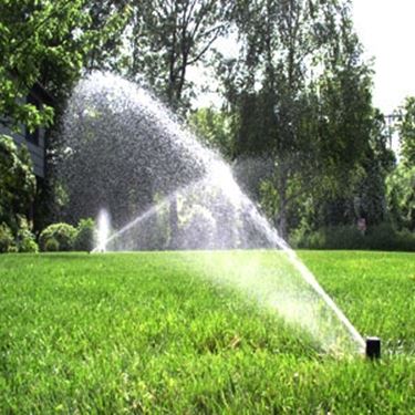 Esposizione e irrigazione