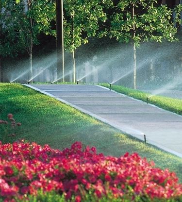 Irrigazione piante e arbusti