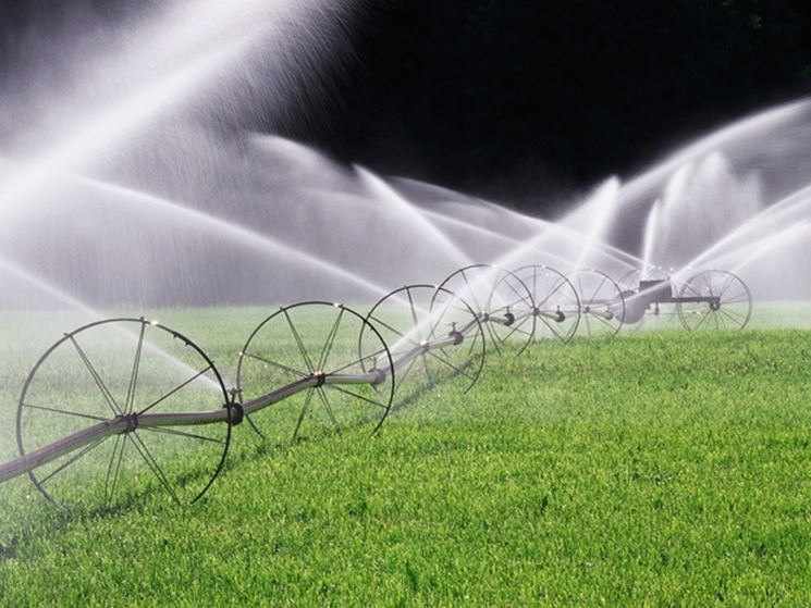 Risposta : Giardino Irrigazione automatica