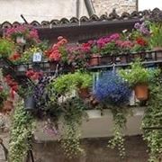 vasi da balcone-4