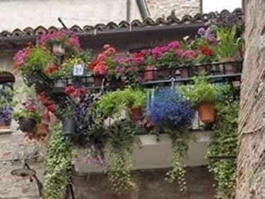 vasi da balcone-4