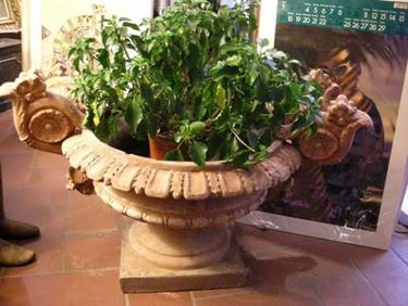 vasi in terracotta-4