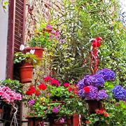 vasi per fiori-1