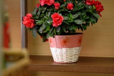 vasi per fiori-6