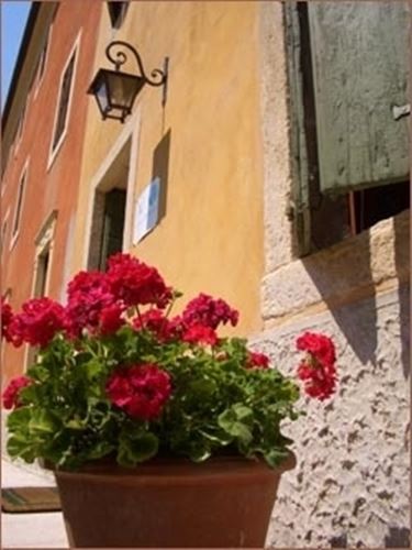 vasi per fiori-7