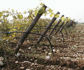 Impianto irrigazione a goccia