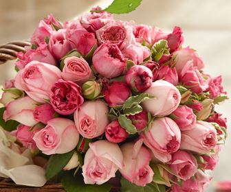 Inviare fiori