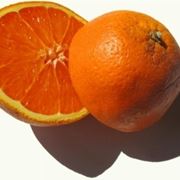 Risposta : Albero di arancio bruciato dal fuoco