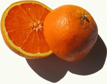Risposta : Albero di arancio bruciato dal fuoco