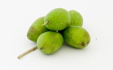 L'Olivo