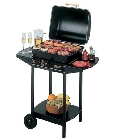 barbecue a gas-4