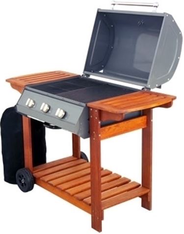 barbecue a gas-7