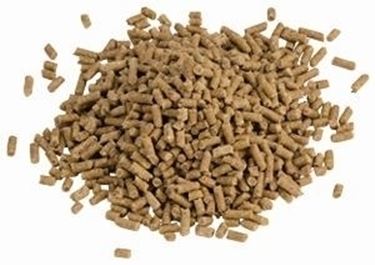barbecue a pellet-3