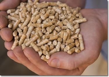 barbecue a pellet-5
