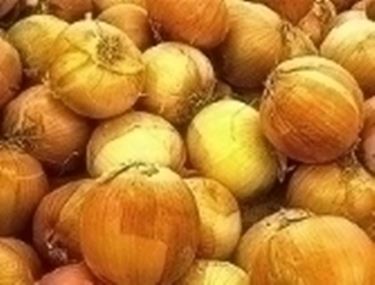 Avere un orto in casa