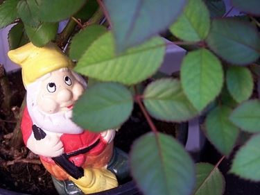 nani da giardino