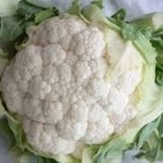 cavolfiore