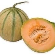 Caratteristiche e propriet nutritive del melone