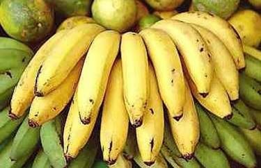 Banano Musella lasiocampa