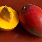 Fiori e frutti