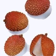 Litchi-7