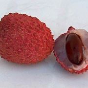 Litchis