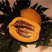 Papaia-3