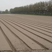 lavori nel orto agosto-8