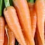 carota-7