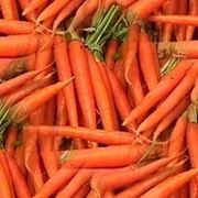 carota-9