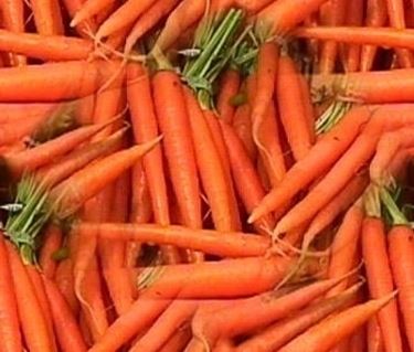 carota-9