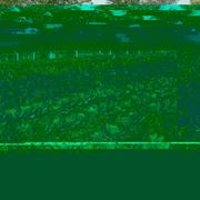 agricoltura biologica-8