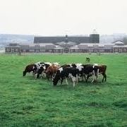 agricoltura biologica-9